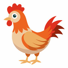 hen and rooster