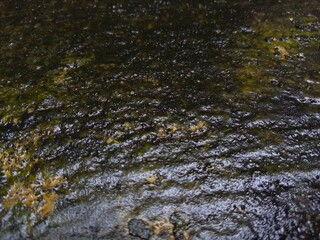 Cement floor is mossy and wet due to rainwater