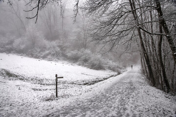 Jogger im Winter 2025 auf dem verschneiten Tafelweg am Schaumberg, Saarland
