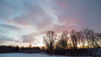 sunset in the forest