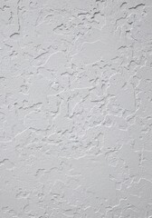 Obraz premium Light Gray Textured Wall Rough Stucco Surface Exterior Building Facade Architectural Detail