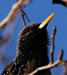 bird on tree