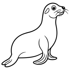 Cute  Line Art Sea Lion Silhouette Black Vector Illustration