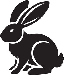 Black and white rabbit
