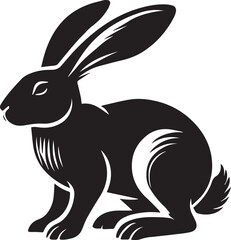 Black and white rabbit