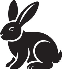 Black and white rabbit