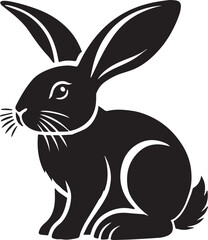 Black and white rabbit