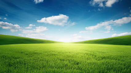 Obraz premium Beautiful spring landscape with green field and blue sky with white clouds