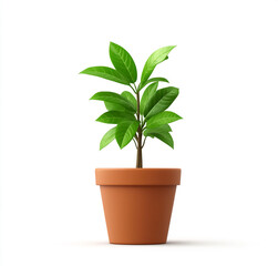 Obraz premium Elegant potted plant with tall leaves