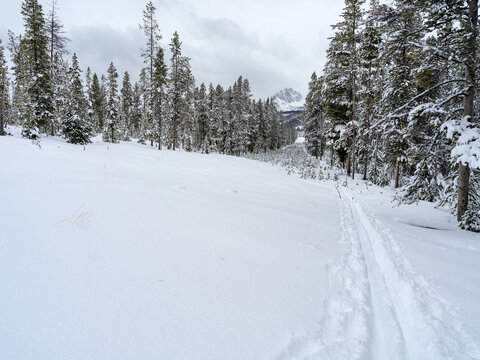 Ski trails in the Idaho wilderness with winter snow