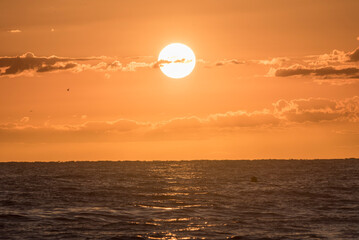 Yellow sun light reflecting on turbulent ocean surface, El Nino concept © Hector