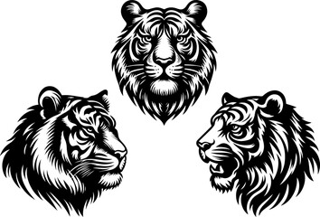 tiger head vector