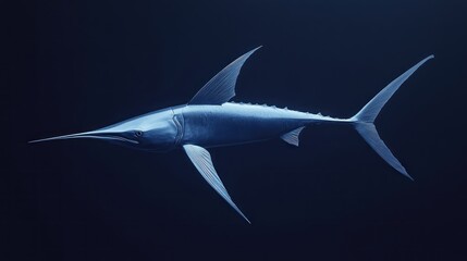Obraz premium A sleek, blue marlin swims in dark water.
