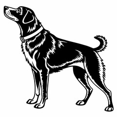 Dog vector silhouette black design white background