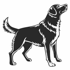 Dog vector silhouette black design white background