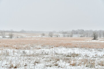 Snowy Field © Steve