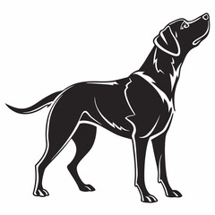 Dog vector silhouette black design white background