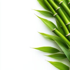 Vibrant Green Bamboo Leaves on a Tranquil Background for Nature Lovers