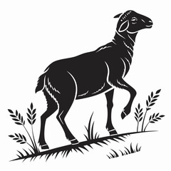 Sheep vector silhouette black design white background