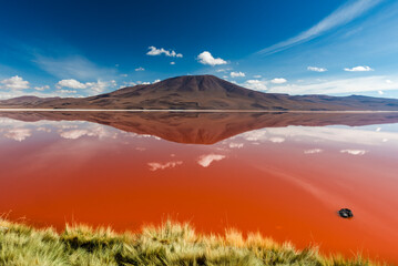 Orange hue of the laguna colorada on a sunny day © Yggdrasill