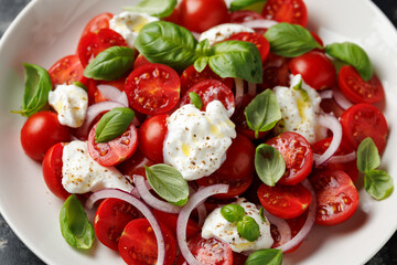 Ricotta cheese salad with cherry tomatoes, onion and basil. Healthy food