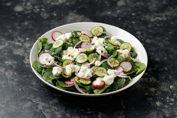 Spinach cottage cheese salad with radish, cucumber and red onion, Healthy food