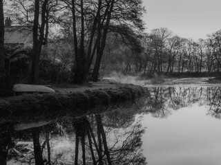 Mist By The River