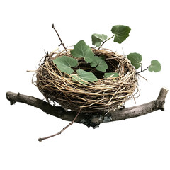 bird nest isolated on transparent background cutout