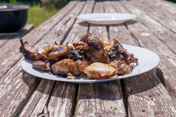 A white plate with charred pieces of meat on a wooden table at a picnic site.