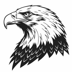 The eagle vector silhouette black design white background