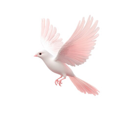 Obraz premium An elegant 3D white bird with soft pink wings and a cute, minimalistic design. Ideal for decorative projects, nature-themed graphics, or children's media. Isolated on transparent background, png