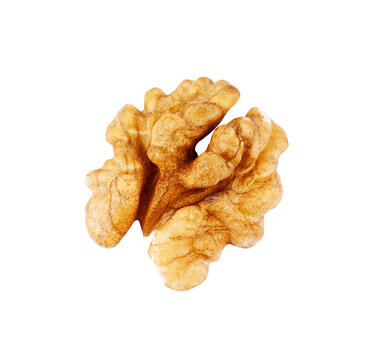 Walnut isolated on transparent background