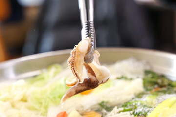 Korean seafood food. fresh cockle © 희승 이