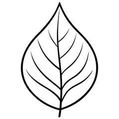 Botanical Line Art Vector