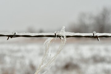 Icicle on Barbed Wire Fence
