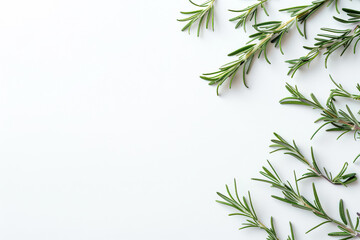 Fototapeta premium White background with a bunch of green herbs