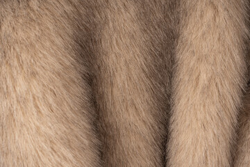 Texture of faux fur as a background, top view.