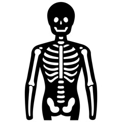 A human skeleton model silhouette vector icon illustration, skeleton on white background.