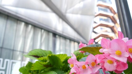 New York City, United States. Hudson Yards urban architecture in Chelsea, NYC Manhattan Midtown, USA. American art landmark and flowers bloom. Spring or summer flowerbed. Greenery and modern buildings © Dogora Sun