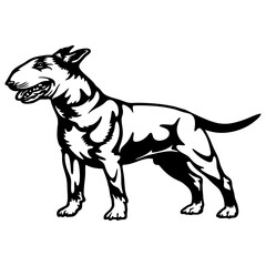 Bull Terrier Dog Breed - Pet Vector Cut file, Dog Silhouette Stencil - Cricut file