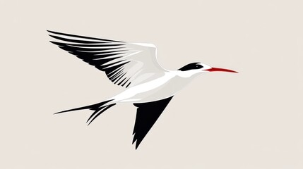 Obraz premium Elegant white bird with black wings in flight.