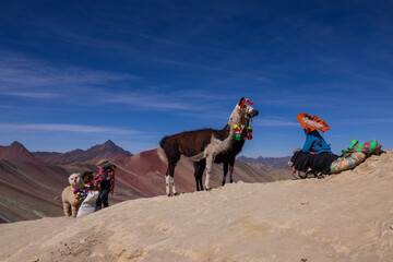 Amazing people and llamas at Rainbow mountain in Peru.