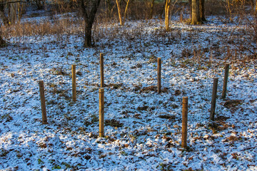 Snow-covered ground with wooden posts in a forest clearing during winter © ULYANA_1995