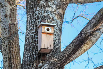 Wooden birdhouse mounted on a tree against a clear blue sky