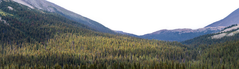 Panorama of vast forest and mountains with sunlight and a transparent sky
