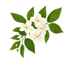 Naklejka premium an illustration of a branch with flowers and green leaves PNG image, PNG file, Generative art.