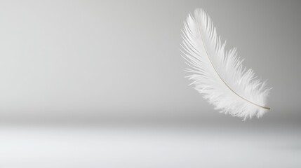 Obraz premium Single white feather levitating on white background creating a serene and minimalist composition, perfect for conveying concepts of lightness, purity, and fragility
