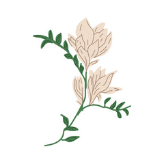 hand drawn delicate flowers, rose flower arrangement vector drawing EPS 10