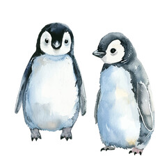 Two penguins in watercolor style vector illustration. Soft blue gray white hues, black backs. Cute penguins couple for Valentine's Day card design. Antarctica birds.