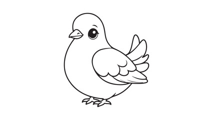 Pigeons bird vector design: Pigeons are actually highly intelligent animals
